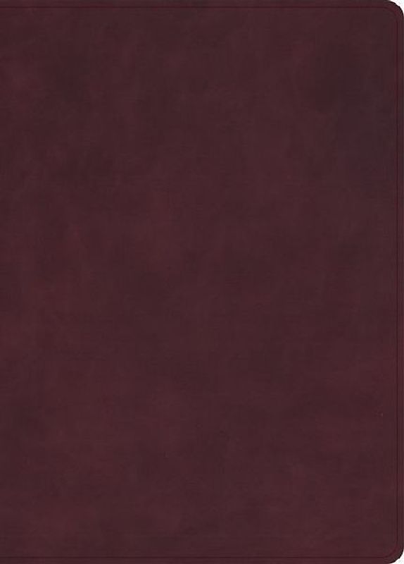 KJV Single-Column Wide-Margin Bible, Holman Handcrafted Collection, Marbled Burgundy Premium Calfskin