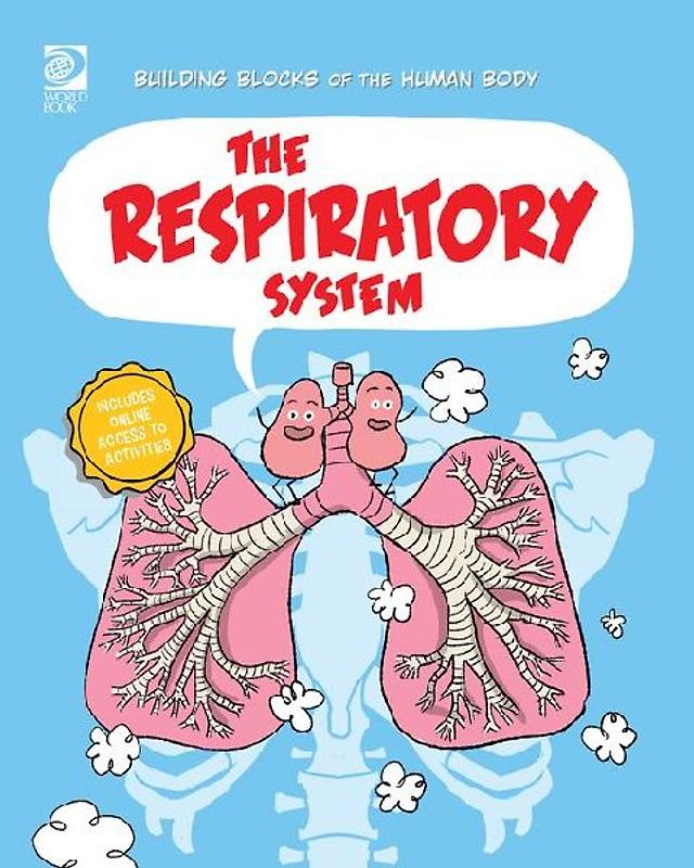 The Respiratory System