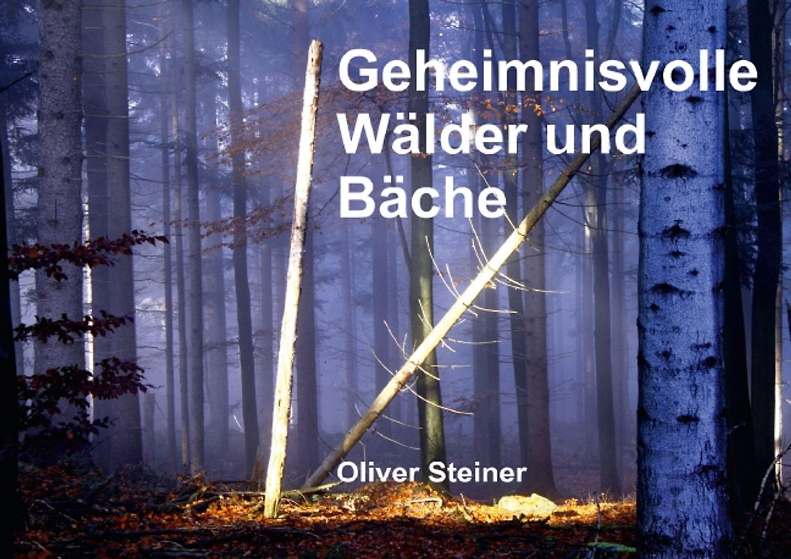 Geheimnisvolle Wälder und Bäche (Posterbuch DIN A4 quer)