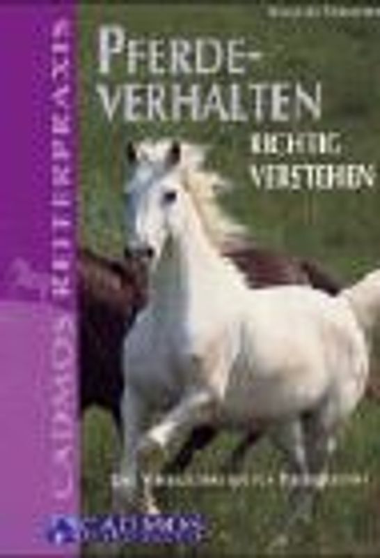 Pferdeverhalten richtig verstehen