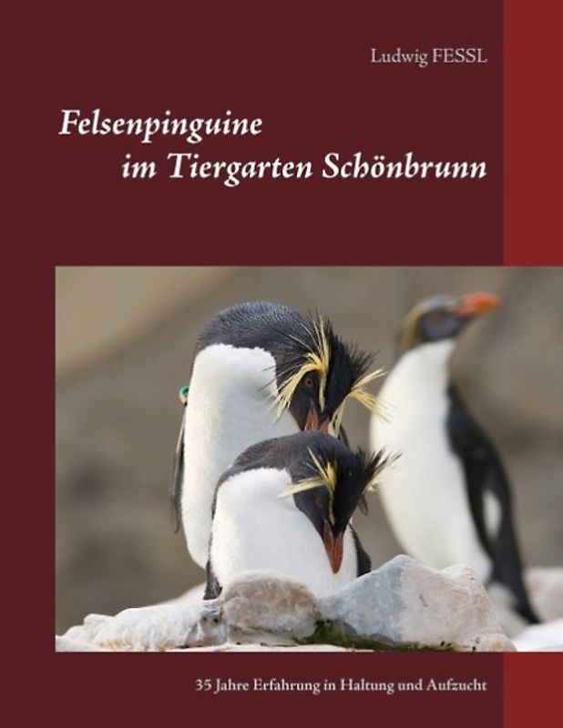 Felsenpinguine im Tiergarten Schönbrunn