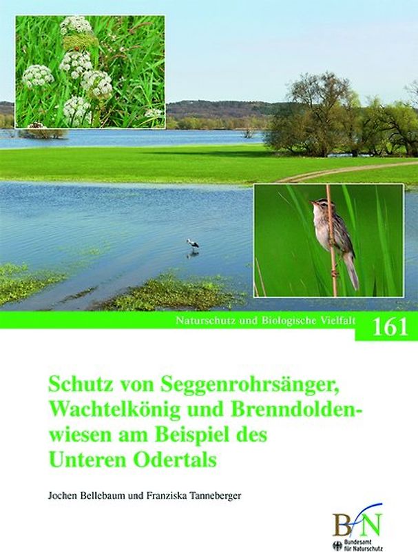 Schutz von Seggenrohrsänger, Wachtelkönig und Brenndoldenwiesen am Beispiel des Unteren Odertals