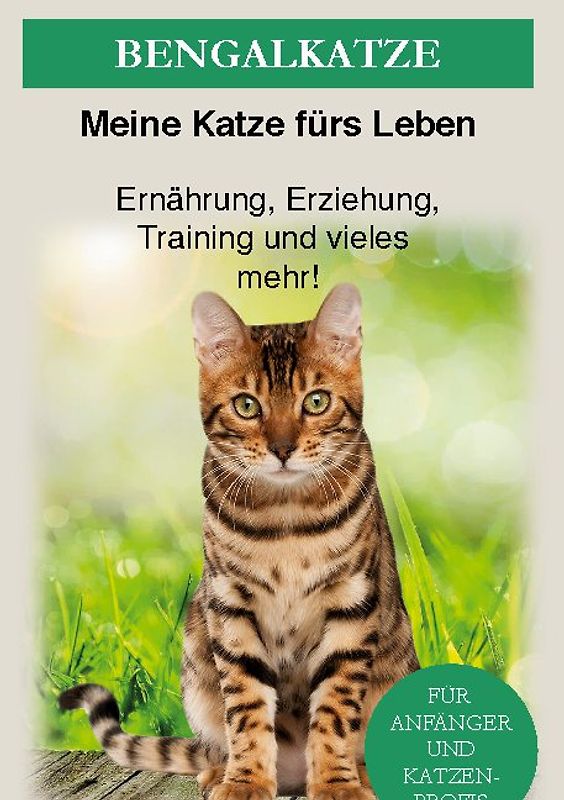 Bengal Katze