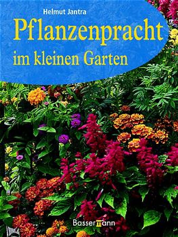 Pflanzenpracht im kleinen Garten