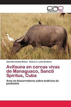 Avifauna en cercas vivas de Managuaco, Sancti Spíritus, Cuba