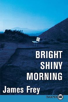 Bright Shiny Morning LP