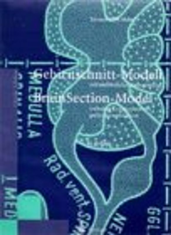 Gehirnschnitt-Modell/Brain Section Model