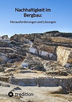 Nachhaltigkeit im Bergbau: Herausforderungen und Lösungen
