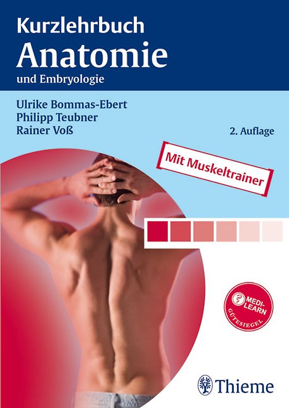 Kurzlehrbuch Anatomie