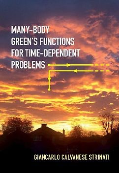 Many-Body Green's Functions for Time-Dependent Problems
