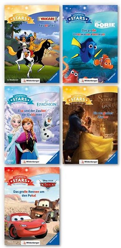 Leselernstars – Komplettbezug, 5 Bände