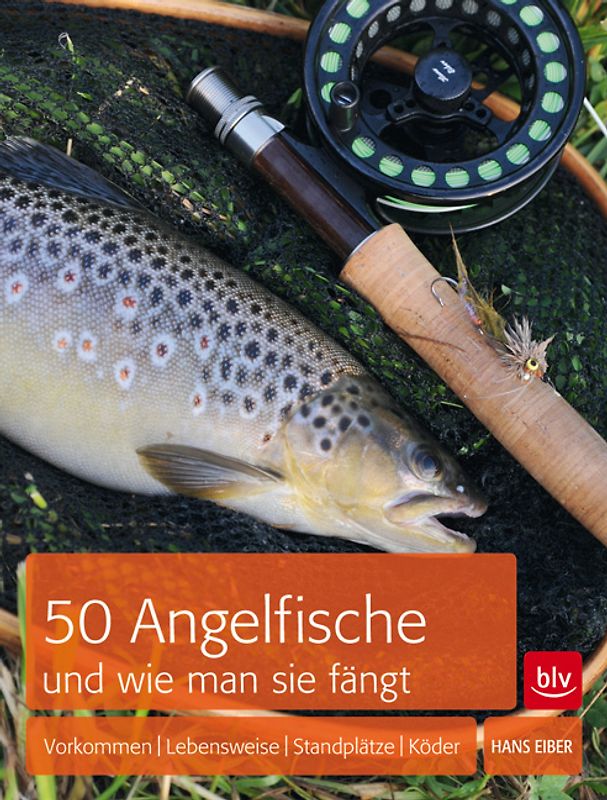 50 Angelfische und wie man sie fängt