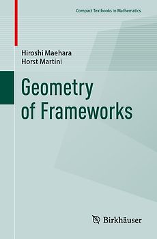 Geometry of Frameworks