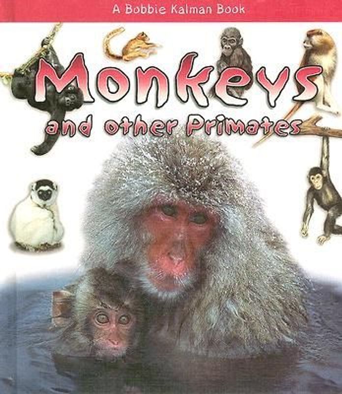 Monkeys and Other Primates