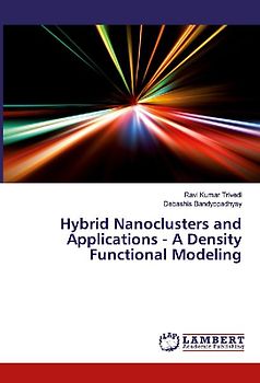 Hybrid Nanoclusters and Applications - A Density Functional Modeling