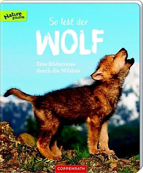 So lebt der Wolf