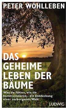 Das geheime Leben der Bäume
