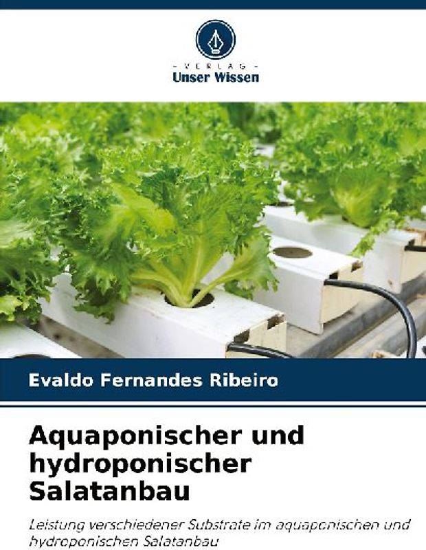 Aquaponischer und hydroponischer Salatanbau