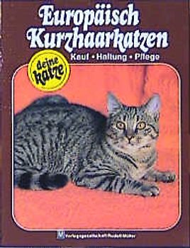 Europäisch Kurzhaarkatzen. Kauf - Haltung - Pflege