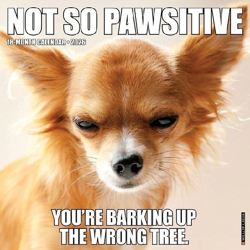Not So Pawsitive 12 X 12 Wall Calendar