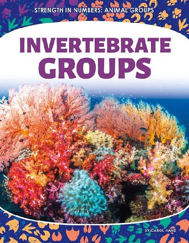 Invertebrate Groups