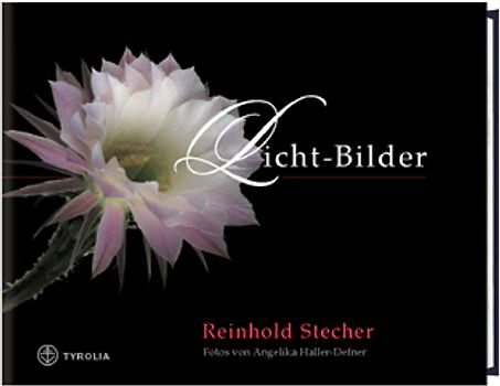 Licht-Bilder