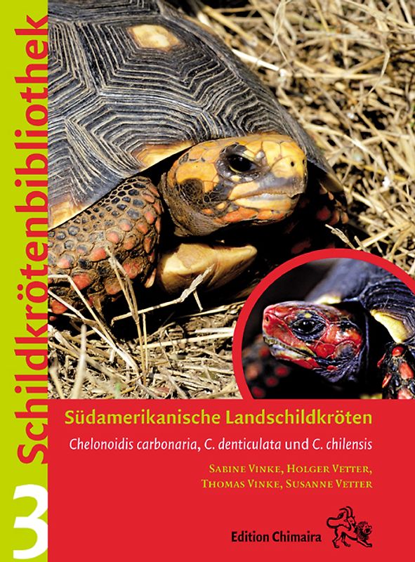 Südamerikanische Landschildkröten. Chelonoidis carbonaria, Chelonoidis denticulata und Chelonoidis chilensis