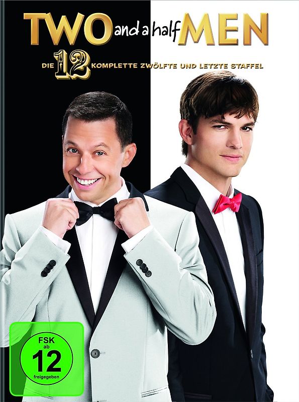 Two and a Half Men - Staffel 12 [2 DVDs] DVD