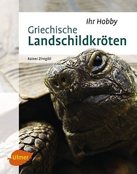 Griechische Landschildkröten