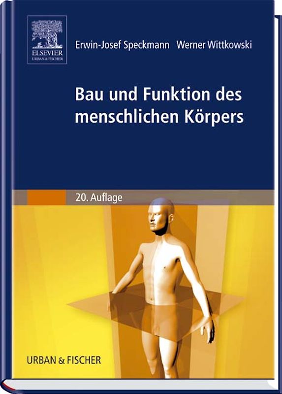 Bau und Funktion des menschlichen Körpers