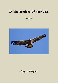 In The Sunshine Of Your Love