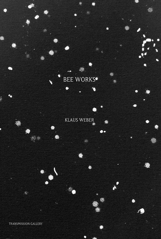Klaus Weber. Bee Works