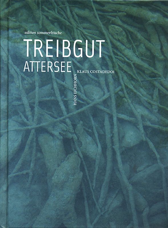 Treibgut Attersee
