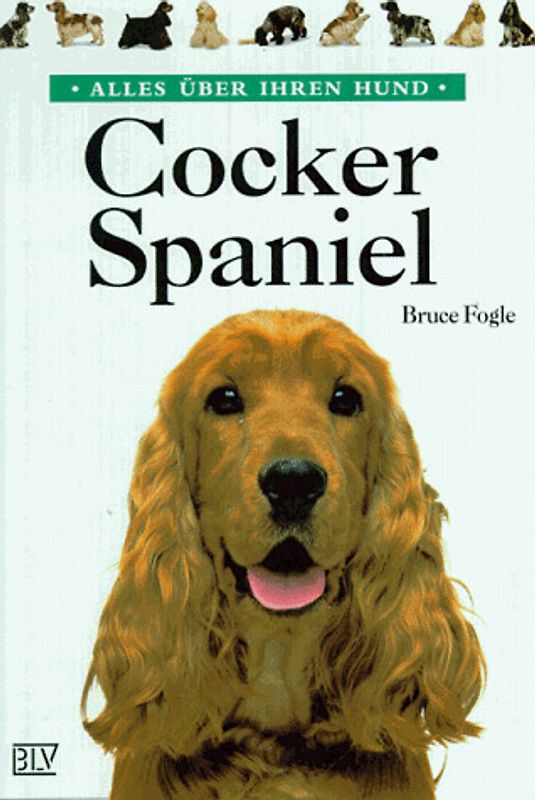 Cocker-Spaniel