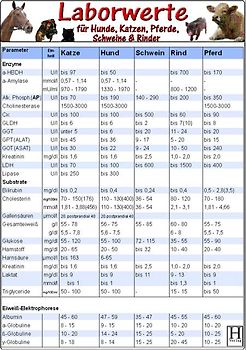 Laborwerte-Karte für Hunde, Katzen, Pferde, Schweine & Rinder