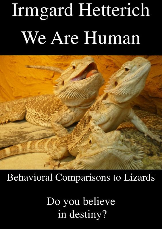 We Are Human - Behavioral Comparisons to Lizards