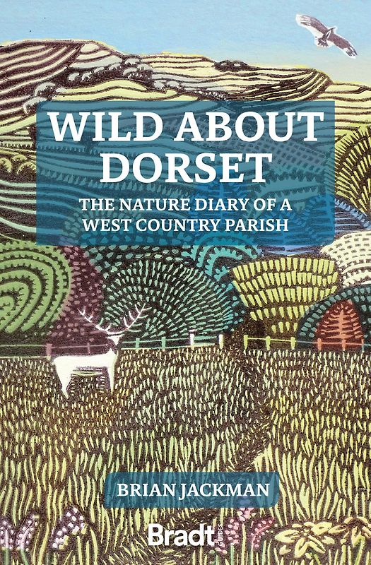 Wild About Dorset