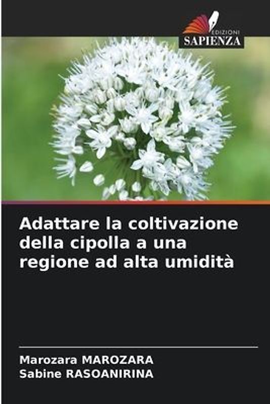 Adattare la coltivazione della cipolla a una regione ad alta umidità