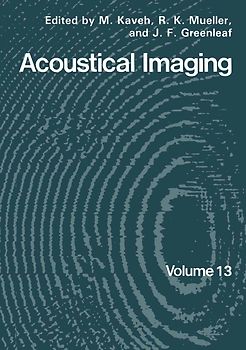 Acoustical Imaging