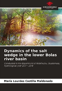 Dynamics of the salt wedge in the lower Bolas river basin