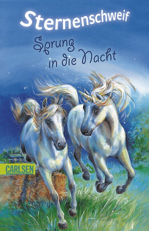 Sternenschweif, Band 2: Sprung in die Nacht