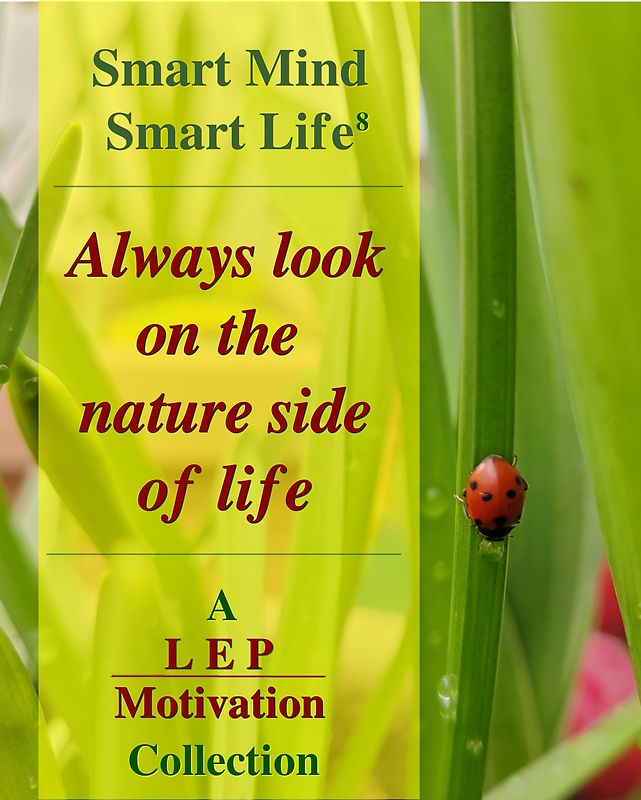 SMART MIND SMART LIFE⁸