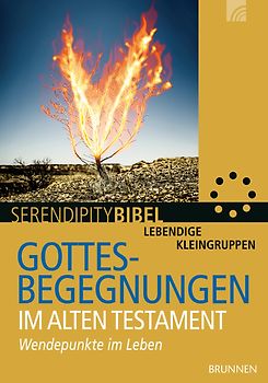 Gottesbegegnungen im Alten Testament. Wendepunkte im Leben