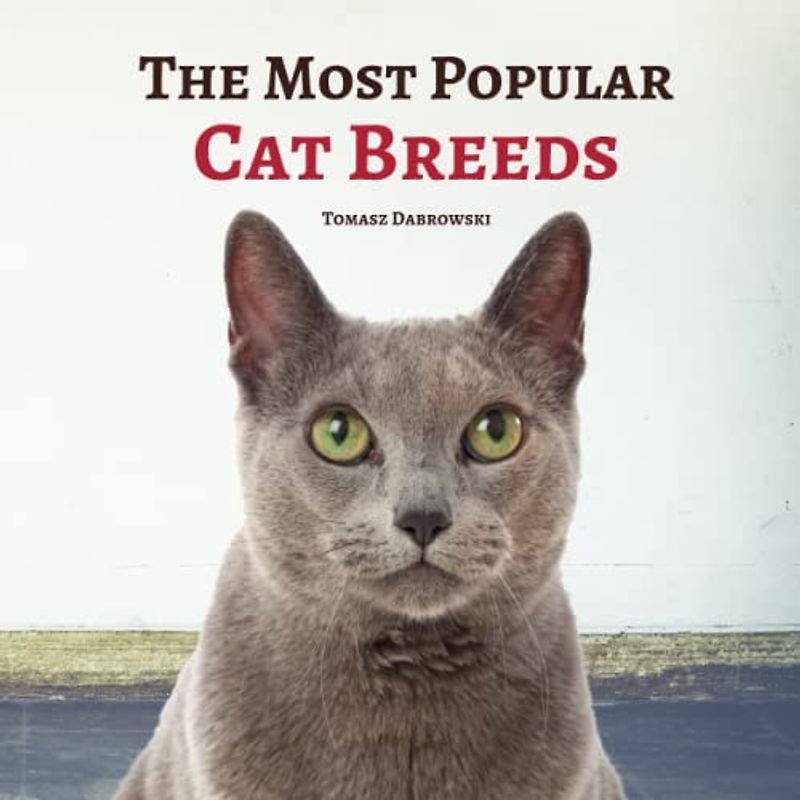 The Most Popular Cat Breeds