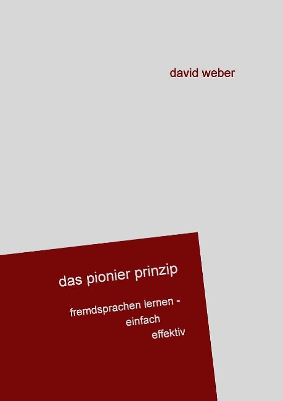 Das Pionier-Prinzip