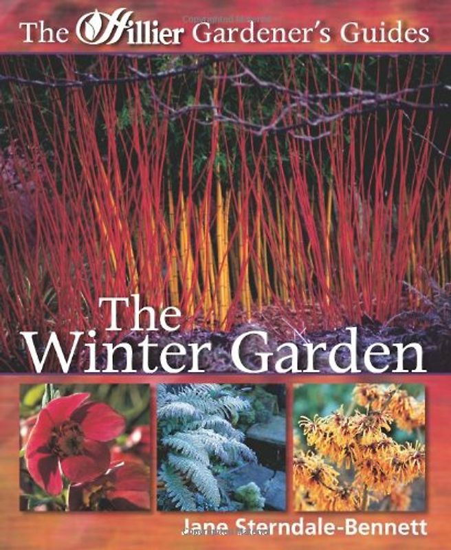 The Winter Garden (Hillier Gardener's Guide) - Sterndale-Bennett, Jane