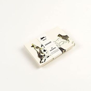 Steinlen: Envelope Set (C6 Format): Envelopes (C6) (Geen)