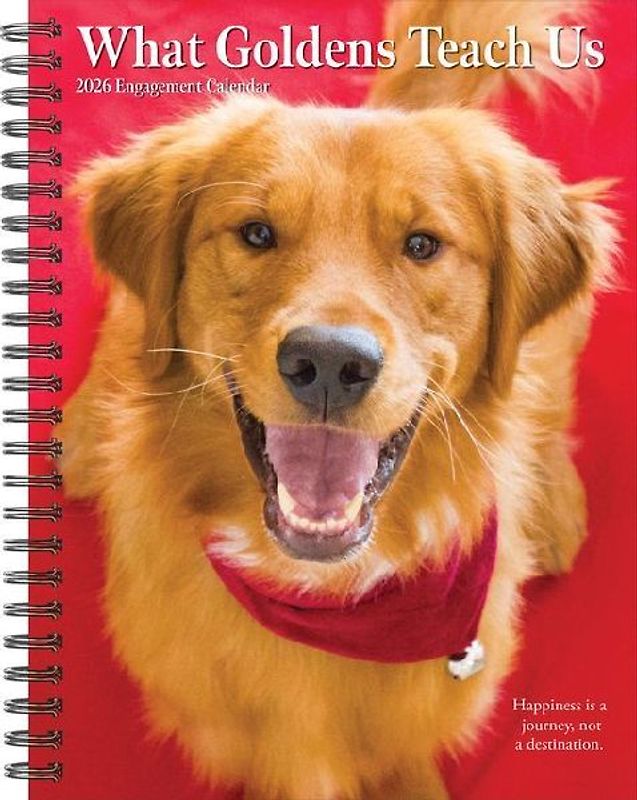 What Goldens Teach Us 2026 6.5 X 8.5 Engagement Calendar