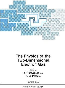 The Physics of the Two-Dimensional Electron Gas