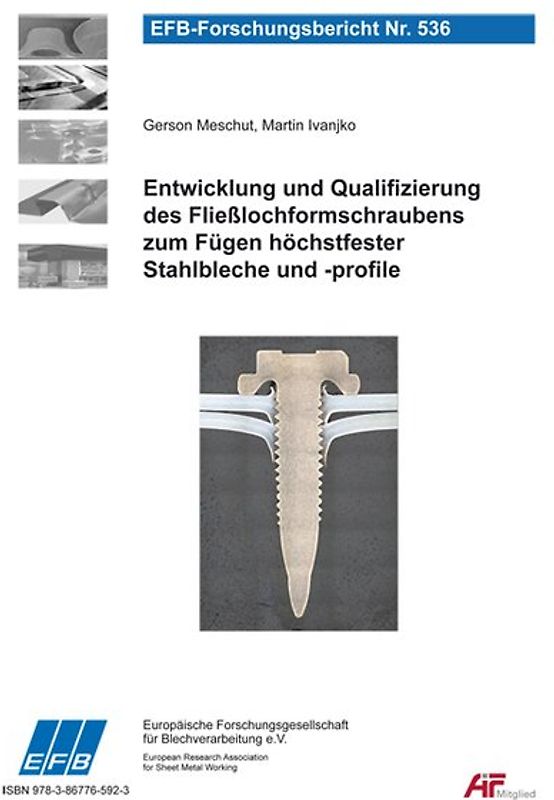 Entwicklung und Qualifizierung des Fließlochformschraubens zum Fügen höchstfester Stahlbleche und -profile